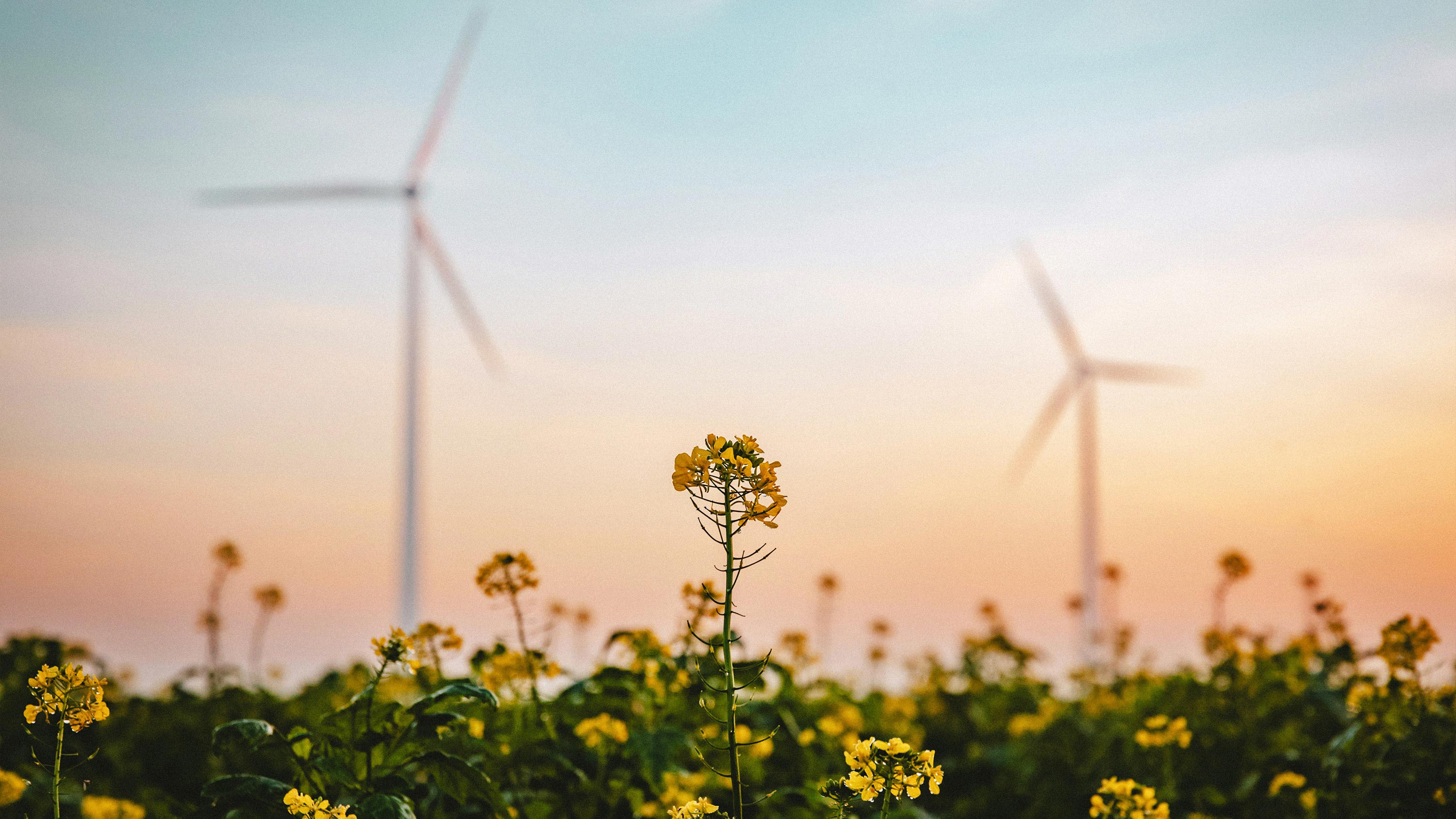 Sustainability Equity Featured Image